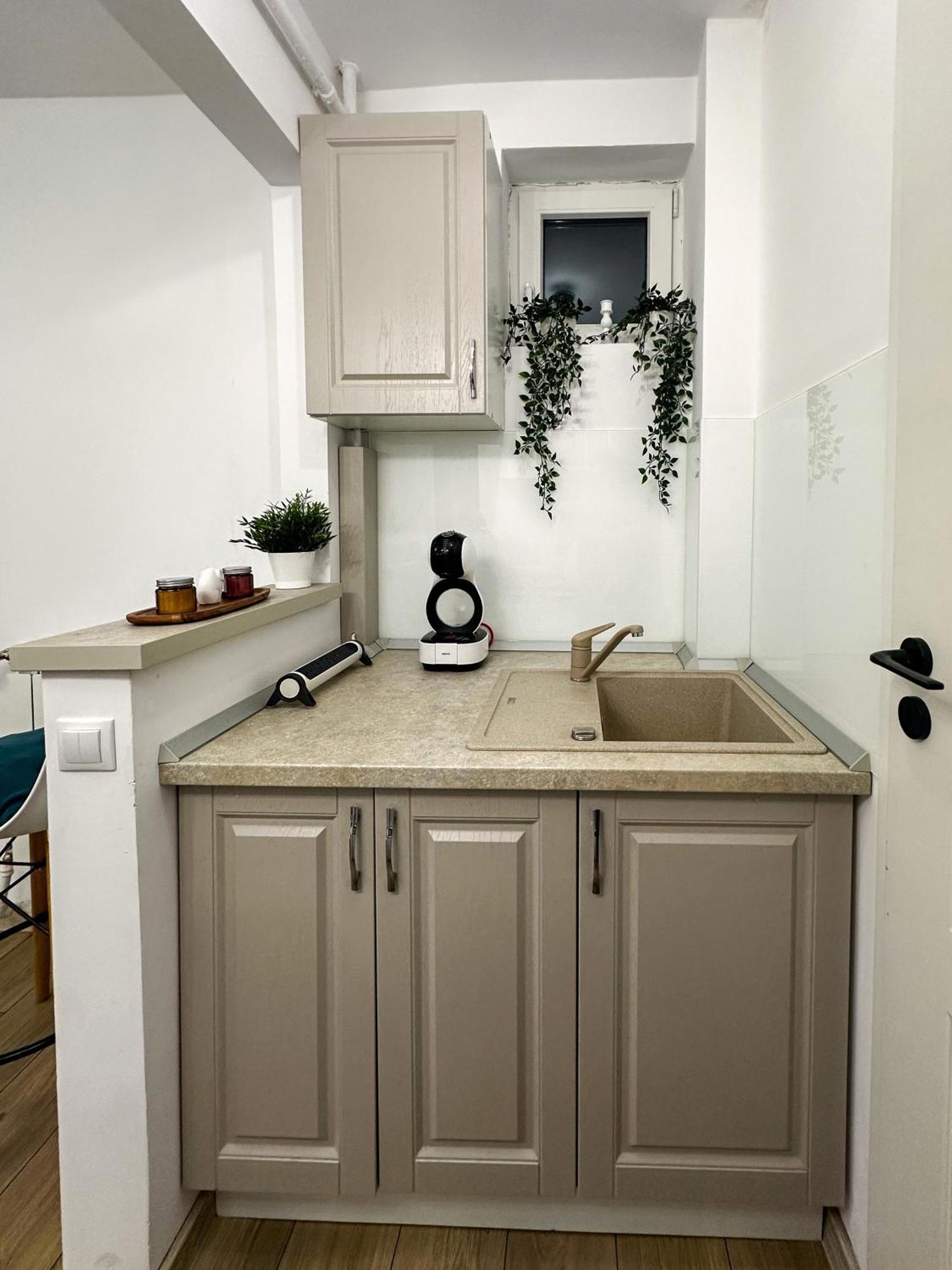 Superior One Bedroom Unirii Square *
